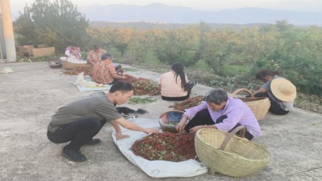 墟落振兴事情动态（第172期）