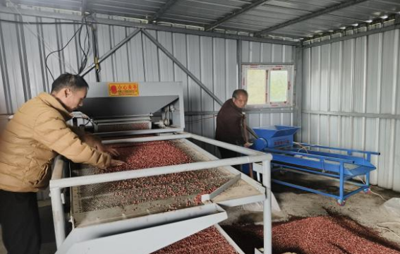 墟落振兴事情动态（第173期）