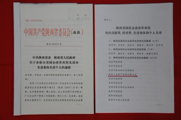 2009年2月，，被陕西省委、、省政府授予陕西省国有企业刷新攻坚先进整体