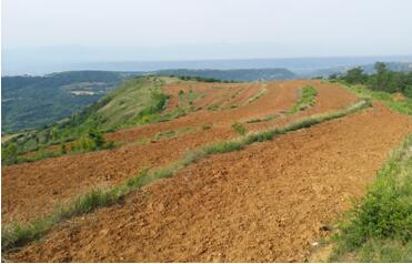 扶贫事情动态（第八十八期）